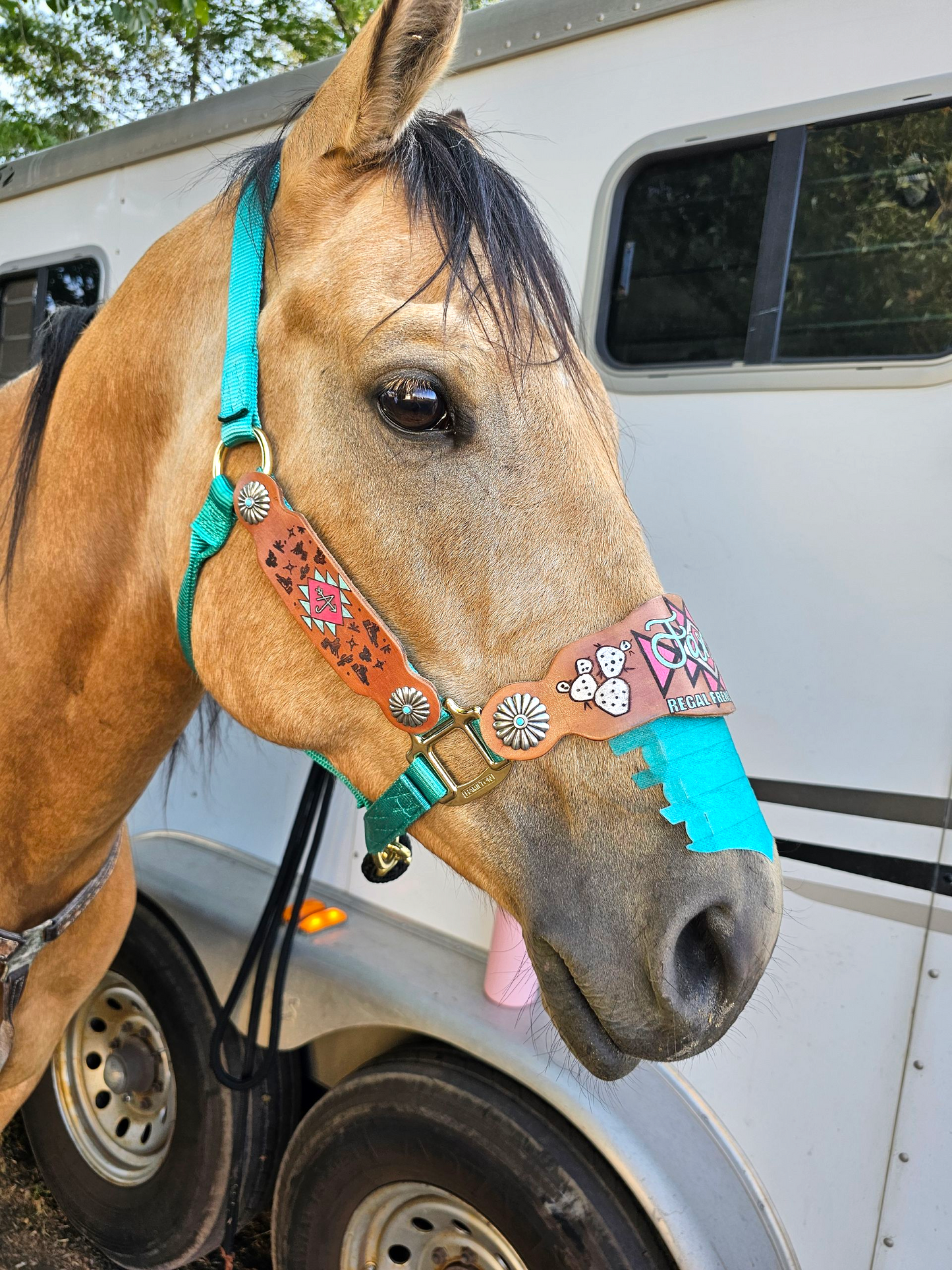 Custom Engraved Leather Halter *Noseband AND Cheek Pieces*