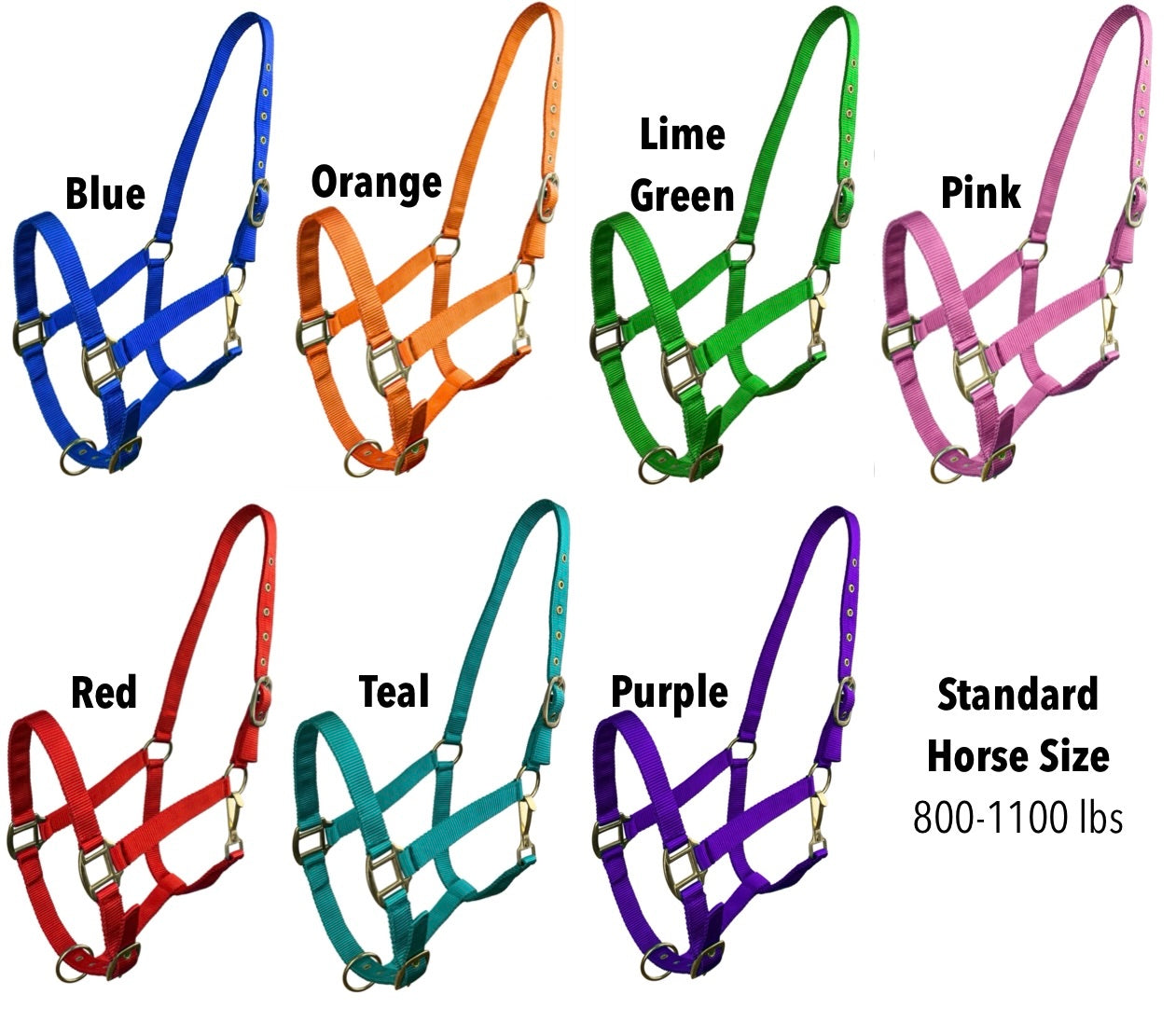 Custom Engraved Leather Halter *Noseband AND Cheek Pieces*